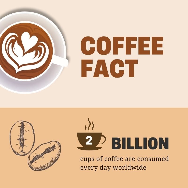Everything About Coffee