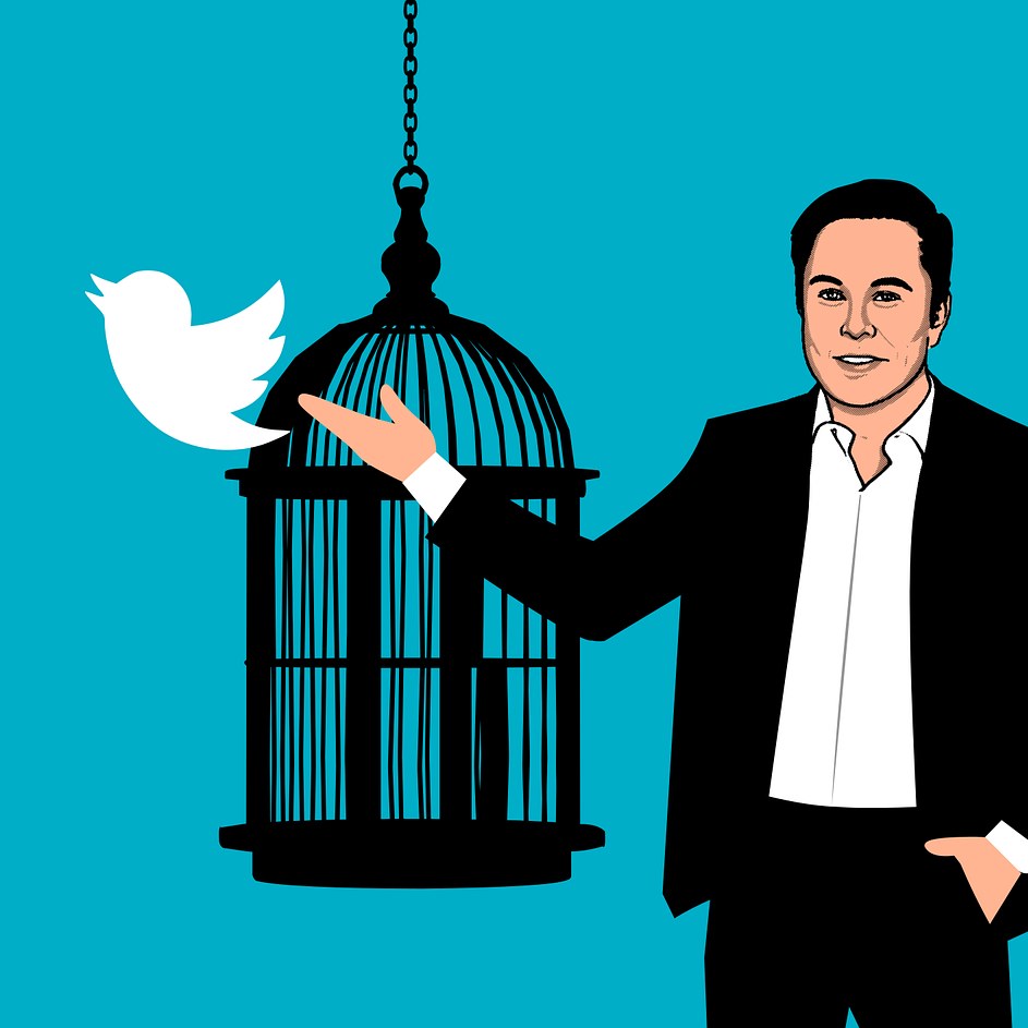 The Elon Musk Meme Infographic